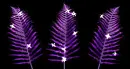 Background - Purple Sparkle Ferns