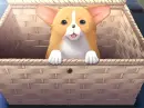 Kuu-chan