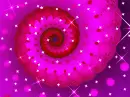 Background - Pink Sparkle Snail
