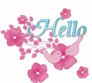 Hello