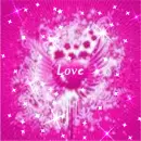 Background - Pink Burst Sparkle Heart
