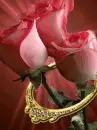 three ring roses