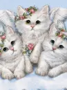 angel kittens