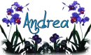 Blue flover -- For Andrea