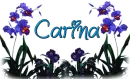 Carina