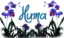 Huma
