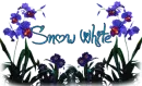 Snow|White