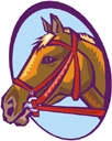 horse