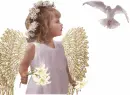child love angel with dove