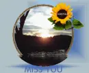 sea sun