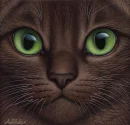 Warriors, Graystripe