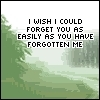 I wish I could forget you