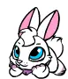 Baby Bunny
