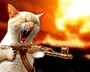 Killer kitty