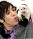 Pete's monkey