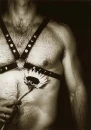 guy in harness