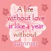 Year Without Summer