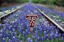 texas star