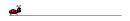 Ladybug line