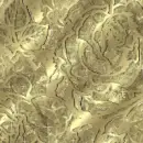 Snowgold