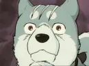 Gin