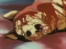 Riki dies