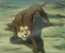 Riki