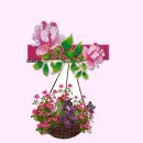 Flower in flowe