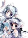 Anime cats