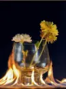 fire flowers