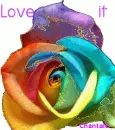 Color rose
