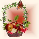 Fruits
