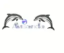 Amanda