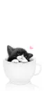 kitty