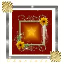 Star Gold