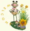 Mr Frogg