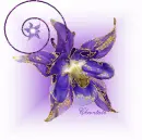 Lilien flower