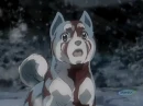 Ginga densetsu weed