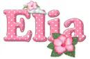 Elia: Spotted Hibiscus & Sea shell
