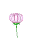 doll in flower