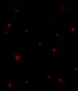 Red Stars