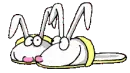 bunny slippers