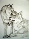 wolf drawed by ME