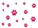 pink paws