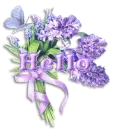 Hello