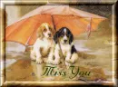 Miss You