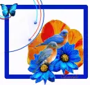Two birds
