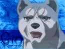 Gin