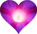 Background - Purple and Pink Flowers