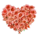 Background -Pink Roses Heart